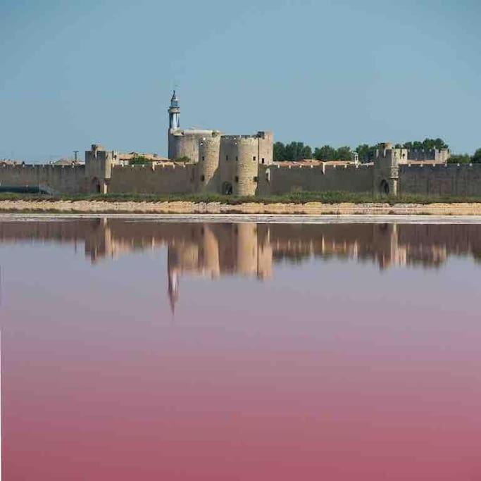 Maison Chaleureuse A 5 Mins Des Remparts Aigues-Mortes Eksteriør billede