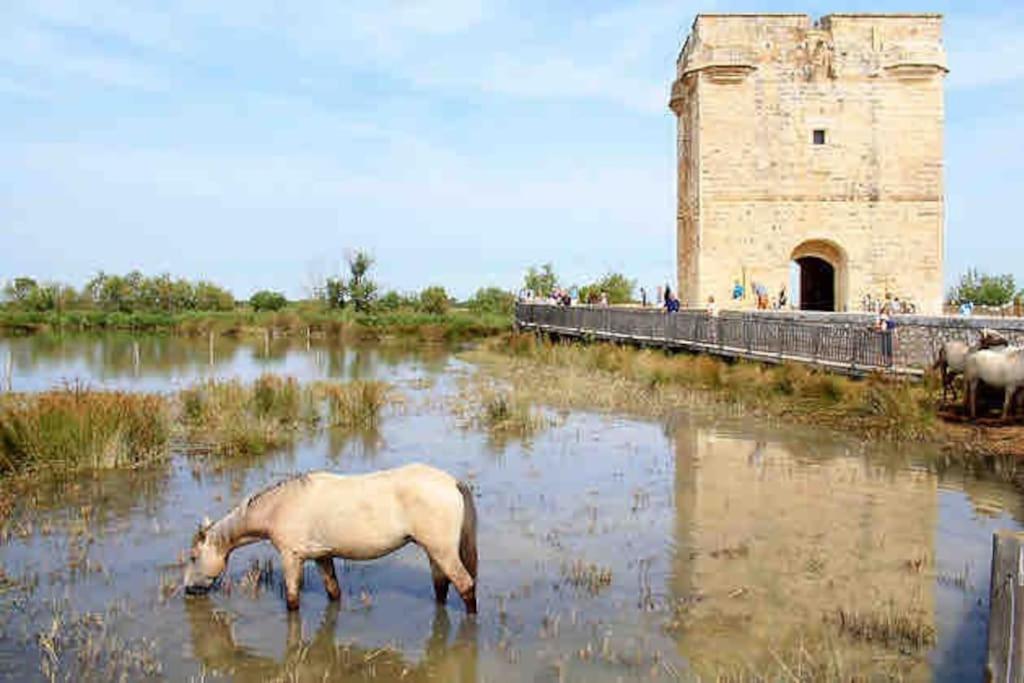 Maison Chaleureuse A 5 Mins Des Remparts Aigues-Mortes Eksteriør billede