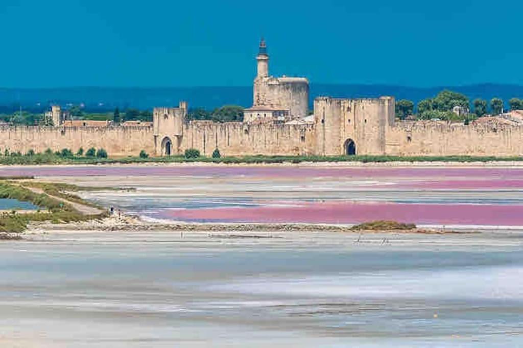 Maison Chaleureuse A 5 Mins Des Remparts Aigues-Mortes Eksteriør billede